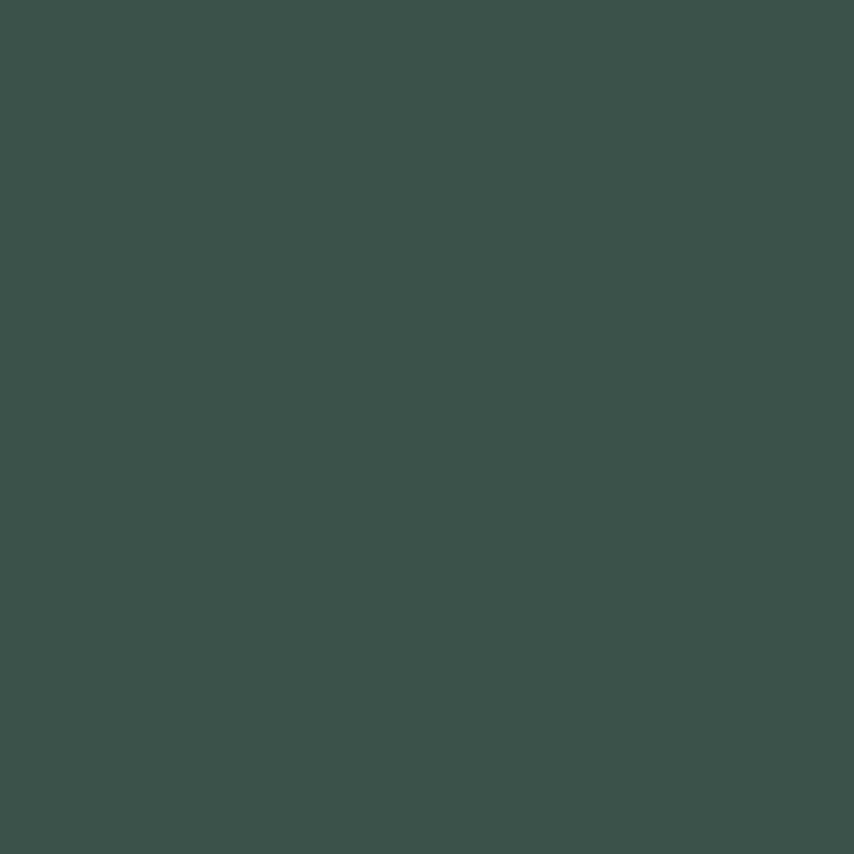 Esmalte Acetinado Premium Suvinil Cor e Proteção 3,6L Verde Colonial