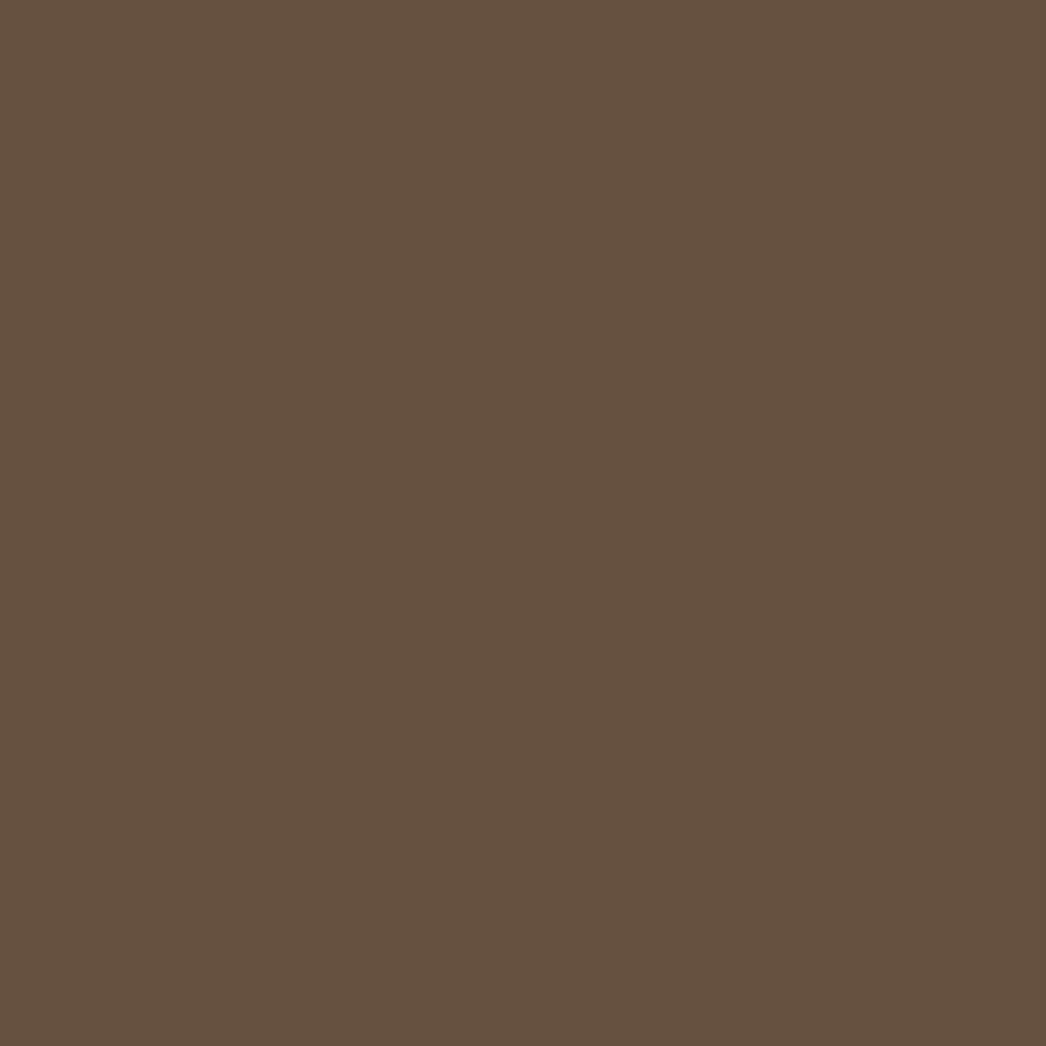 Esmalte Brilhante Premium Suvinil Cor e Proteção 3,6L Tabaco