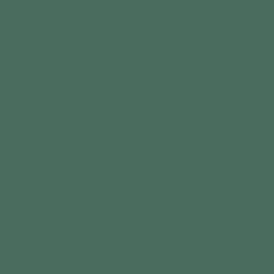 Esmalte Fosco Premium Suvinil Cor e Proteção 3,6L Verde Escolar