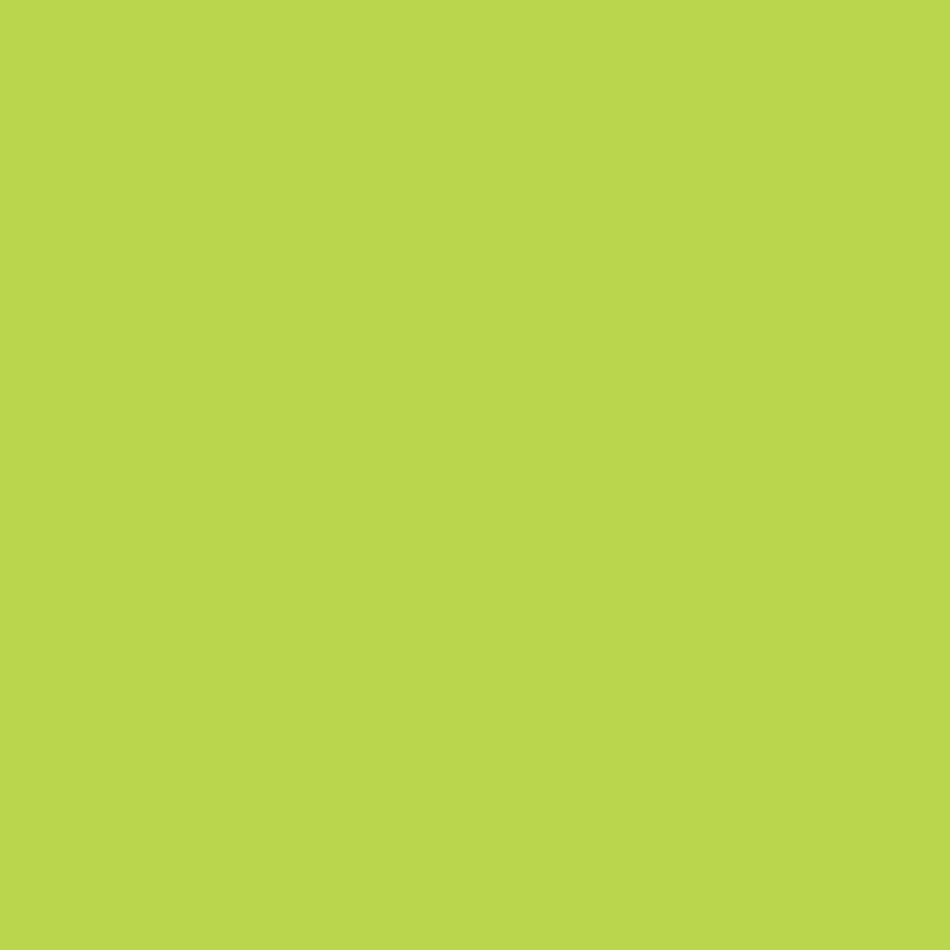 Tinta Acrilica Fosca Maza Ultra 3,6L Verde Vida