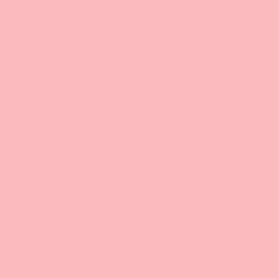Tinta Acrilica Fosca Premium Maza Total Protect 18L Rosa Decora