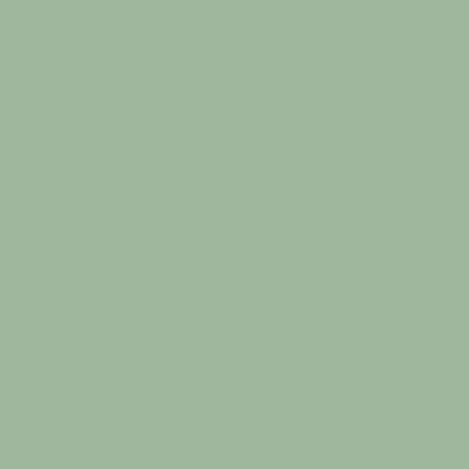 Tinta Acrílica Premium Suvinil Toque Fosco 3,6L Verde Pastel